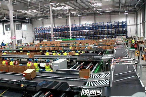 西安聯手阿里破解農產品倉儲物流難題，西北最大數字農業倉配體系正式啟用
